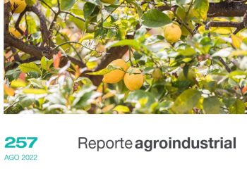 Estimación del área implantada con cítricos en Tucumán en 2022 y comparación con años precedentes