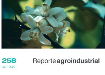 Dinámica comercial y resultados económicos del cultivo de limón en Tucumán en la campaña 2021/22