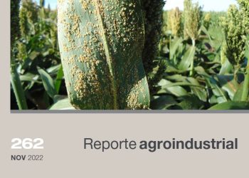 Susceptibilidad de híbridos de sorgo al daño causado por el pulgón amarillo, Melanaphis sacchari/sorghi (Hemiptera: Aphididae)