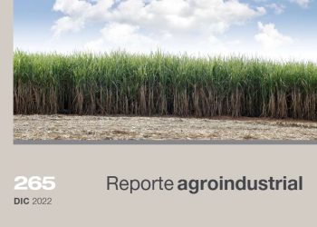 Panorama sanitario del cultivo de la caña de azúcar en Tucumán durante la campaña 2021/2022