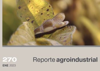 Calidad de la semilla de soja producida en la campaña 2022