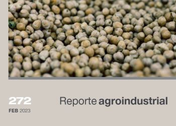 Resultados de la encuesta a productores de garbanzo en Tucumán, campaña 2022