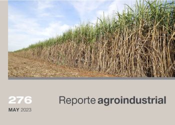 Gastos de producción y margen bruto del cultivo de caña de azúcar en la zafra 2022 en Tucumán y estimación para la zafra 2023