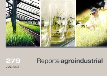 Producción de caña semilla de alta calidad: Proyecto Vitroplantas año 2022