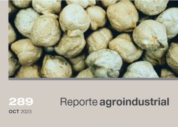 Calidad de la semilla de garbanzo obtenida en la campaña 2022