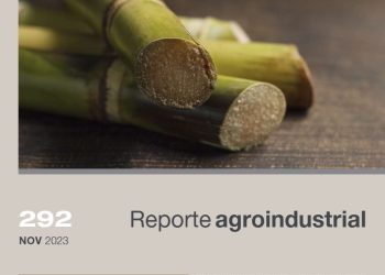 Zafra 2023: Diferenciación de edades en cañaverales tucumanos con cultivo antecesor soja