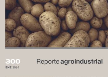 Relevamiento del área cultivada con papa en la campaña 2023 en el pedemonte y llanura de Tucumán y comparación con campañas precedentes