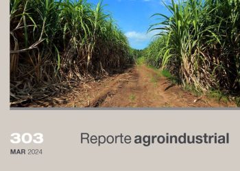 Gasto de fertilización de caña soca en Tucumán para la zafra 2024, influencia del precio de la urea y del azúcar en la rentabilidad de la práctica