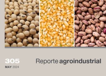 Relevamiento satelital de la superficie implantada con soja, maíz y poroto en Tucumán en la campaña 2023/2024 y comparación con campañas precedentes