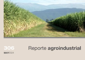 Estimación del área cosechable y de la producción de caña de azúcar para la zafra 2024 en Tucumán