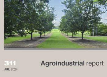 2024 Pecan Nut planted area in Tucumán, Argentina