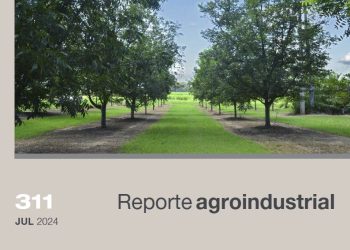 Superficie cultivada con pecán en la provincia de Tucumán al año 2024