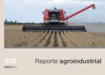 Gastos de producción y puntos de indiferencia del cultivo de soja en la campaña 2023/2024 en Tucumán