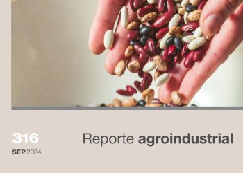 Resultados de la encuesta realizada a productores de poroto en Tucumán y zona de influencia. Campaña 2024