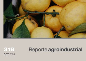 Gastos de plantación y producción en el cultivo de limón en Tucumán entre las campañas 2019/20 y 2023/24