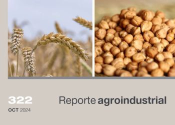 Estimación satelital de la superficie cultivada con trigo y garbanzo en Tucumán en la campaña 2024 y comparación con ciclos precedentes