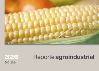 Resultados de la red de macroparcelas de híbridos comerciales de maíz EEAOC, en Tucumán y zonas de influencia en la campaña 2023/2024