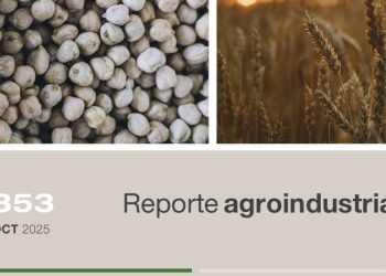 Análisis de la evolución de la superficie con trigo y garbanzo en Tucumán (campaña 2025 versus ciclos anteriores) mediante teledetección y SIG