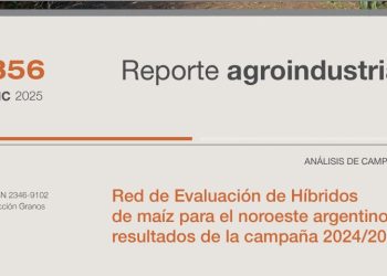 Red de Evaluación de Híbridos de maíz para el noroeste argentino: resultados de la campaña 2024/2025