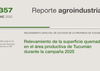 Relevamiento de la superficie quemada en el área productiva de Tucumán durante la campaña 2025