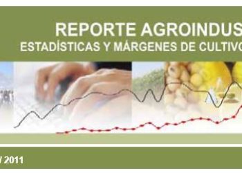 Cultivo de palta: actividad comercial en Tucumán y la Argentina. Gastos de producción 2011