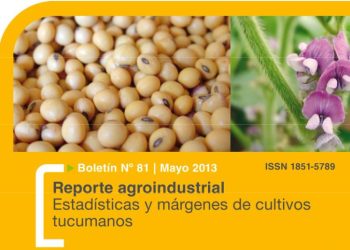 RA81-Resultados productivos y económicos del cultivo de soja en Tucumán, campaña 2012/13 vs 2011/12