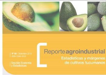 RA89-Actividad comercial de palta en la Argentina y Tucumán, 2012 vs 2011. Campaña 2013 datos parciales y gastos de producción